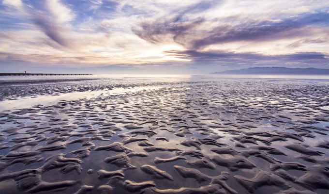 Fotografía de Naturaleza en el Delta del&nbsp;Ebro