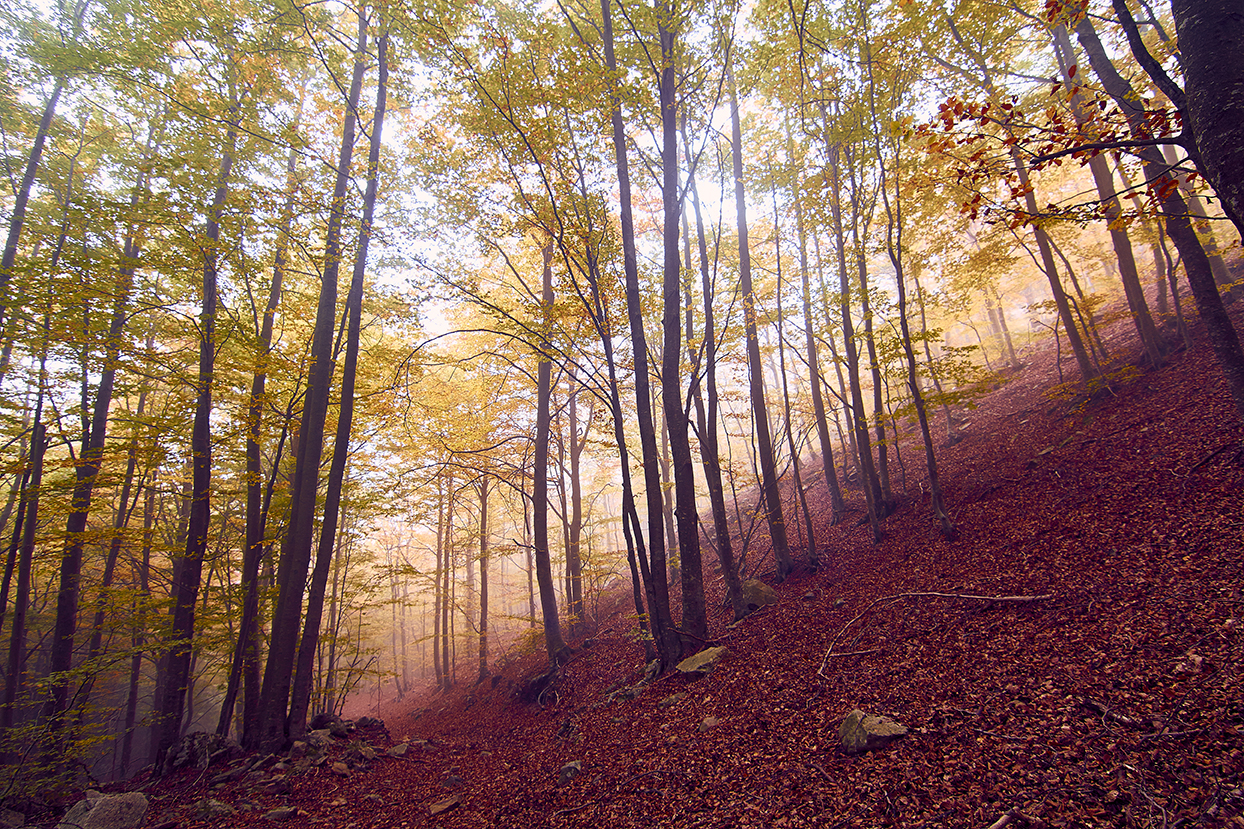 foto-naturaleza-barcelona