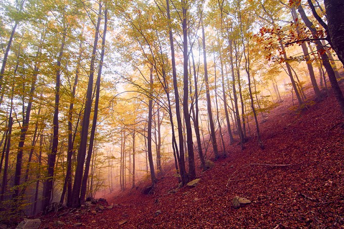 foto-naturaleza-barcelona