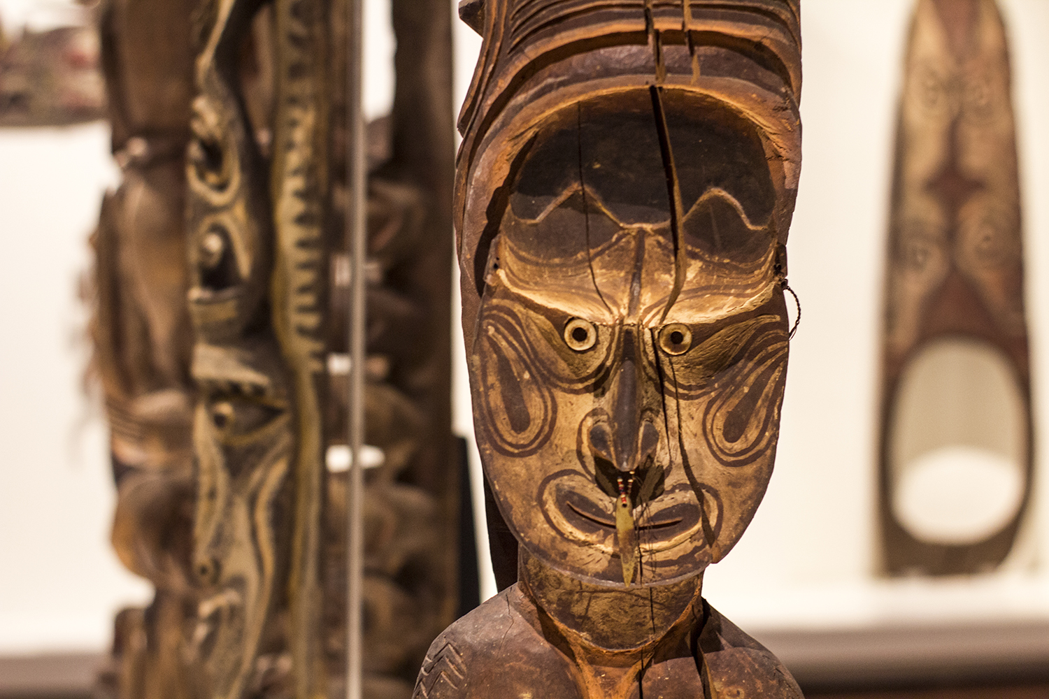 fotografia, creación, contenidos, audiovisuales