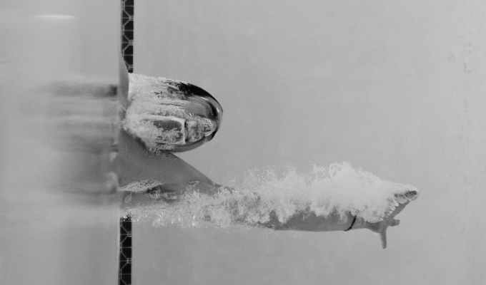 REALIDADES A ESCALA DE&nbsp;GRISES