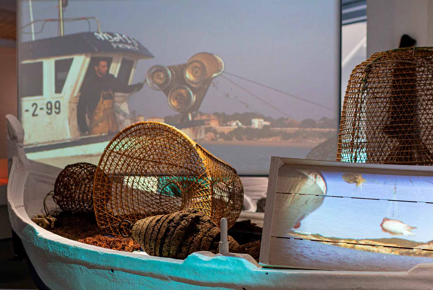 exposicion, fotografo, fotografia