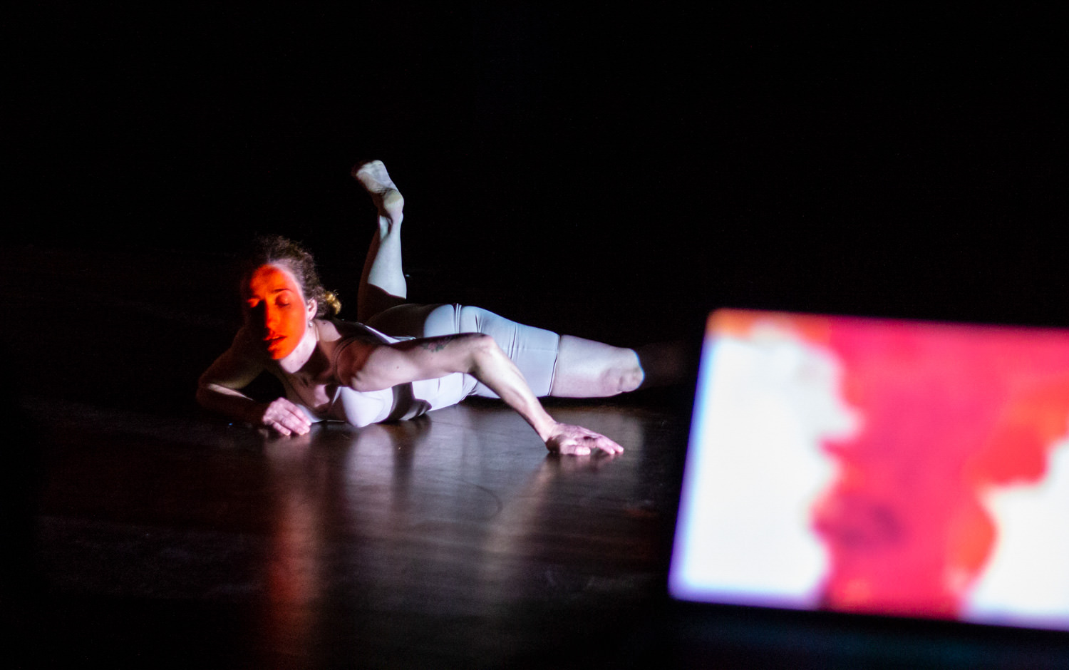 fotografia, prefesional, evento