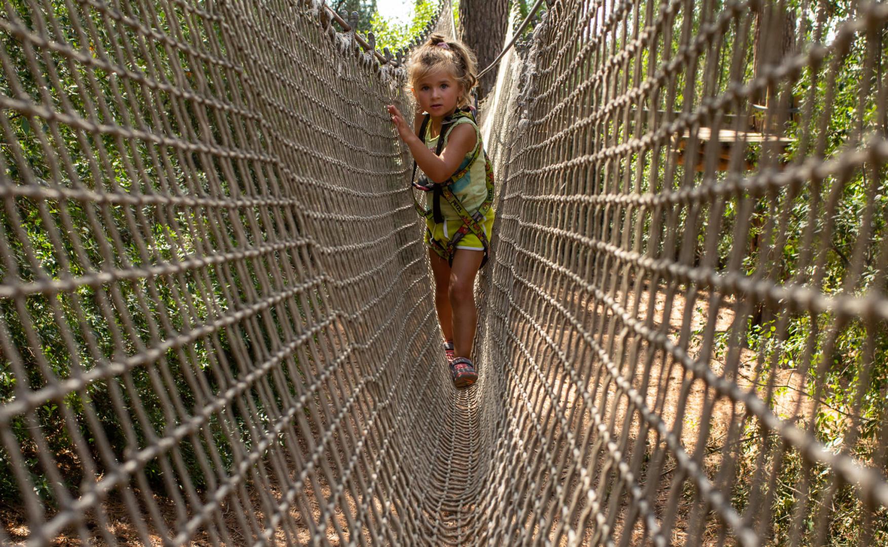 fotografia, profesional, deportes