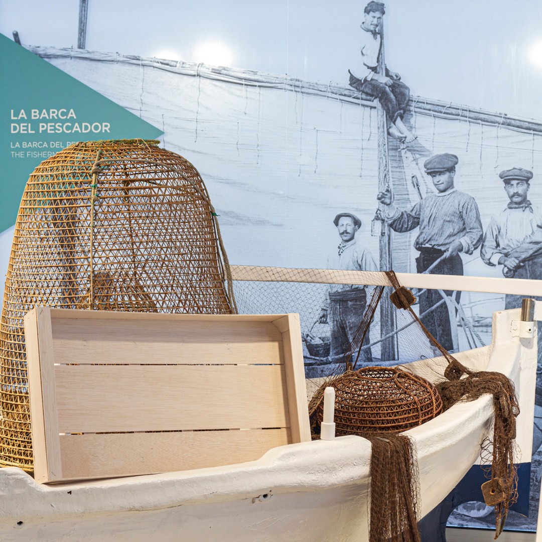 videografo, barcelona, profesional