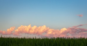 fotografia-profesional-barcelona