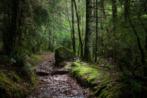 ordesa-huesca-turismo-fotografia