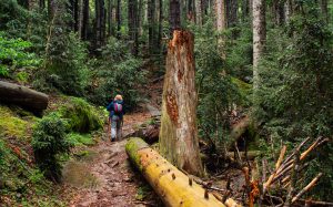 trekking-gotografia-viaje
