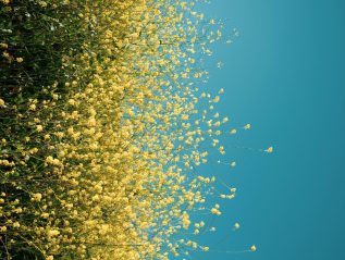 Curs de Fotografia avançada, Color i Blanc i&nbsp;Negre