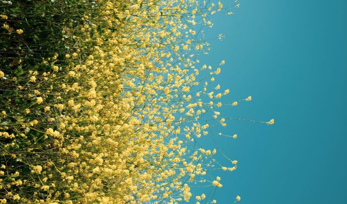 Curs de Fotografia avançada, Color i Blanc i&nbsp;Negre