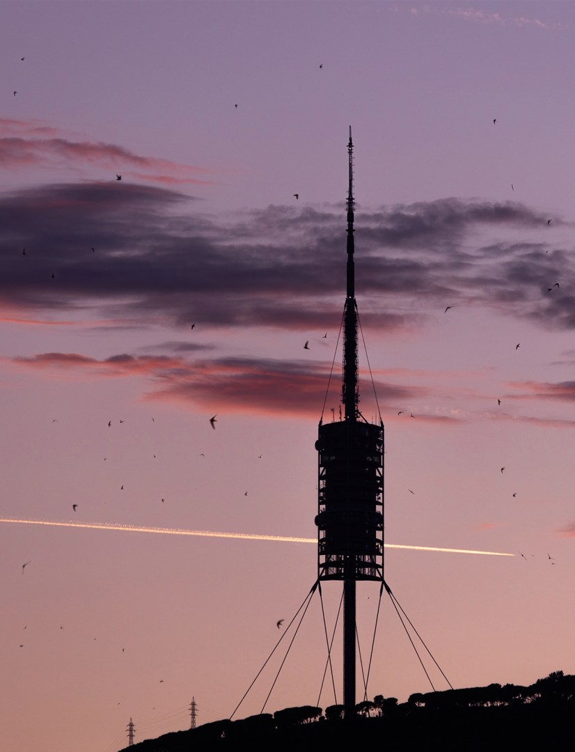 collserola-fotografia-profesor