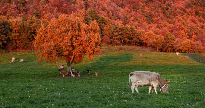 viaje-fotografico-otono-barcelona